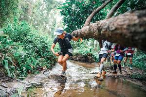 BIB: 
                            <button type="button" onclick="openModal(25375511)" class="btn btn-primary btn-sm float-right btn-popup" data-toggle="modal" data-target=".modal-high-quality">
                        <i class="fas fa-shopping-cart"></i> Add to Cart
                    </button>
                                            <button type="button" onclick="isThisMe(25375511, true)" class="btn btn-success btn-sm float-right btn-popup btn-isme hidden" data-toggle="tooltip" data-placement="bottom" title="นี่คือรูปของคุณใช่ไหม คลิกที่นี่เพื่อเอาเข้าอัลบั้ม">
                        <i class="fas fa-plus"></i> Add to album
                    </button>
                    <button type="button" onclick="isThisMe(25375511, false)" class="btn btn-warning btn-sm float-right btn-popup btn-isnotme hidden">
                        <i class="fas fa-ban"></i> Remove from album
                    </button>